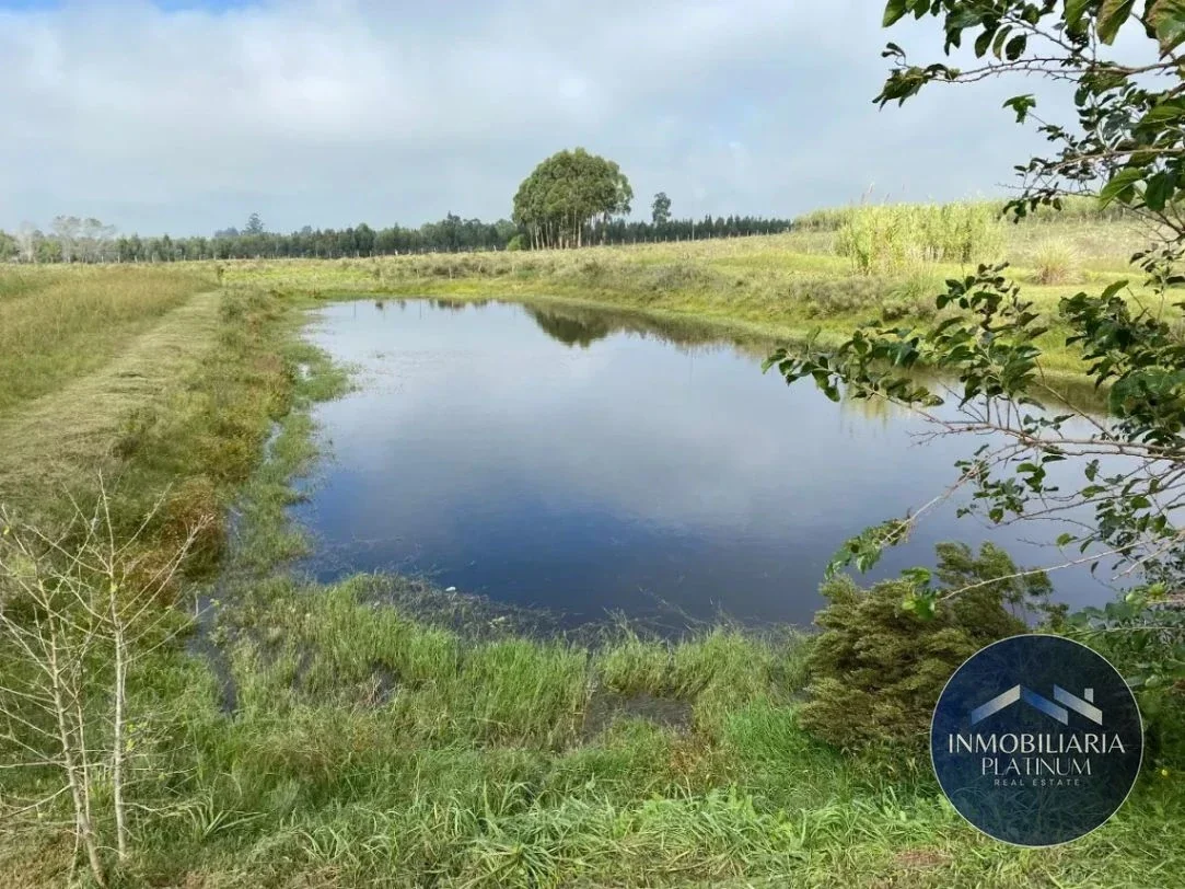 Chacra en venta de 55000m2 ubicado en Cruz De Los Caminos - Imagen 5