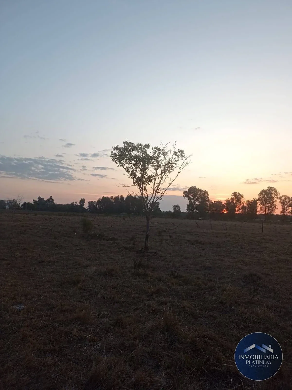 Campo en venta de 9503m2 ubicado en Santa Monica - Imagen 5