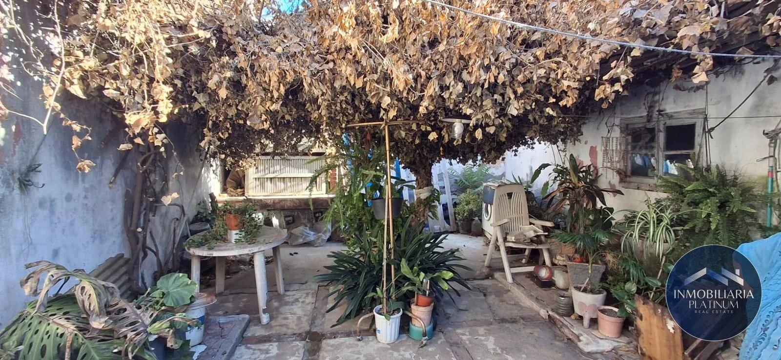 Casa en venta a reciclar en Prado 4 dormitorios y cochera - Imagen 3