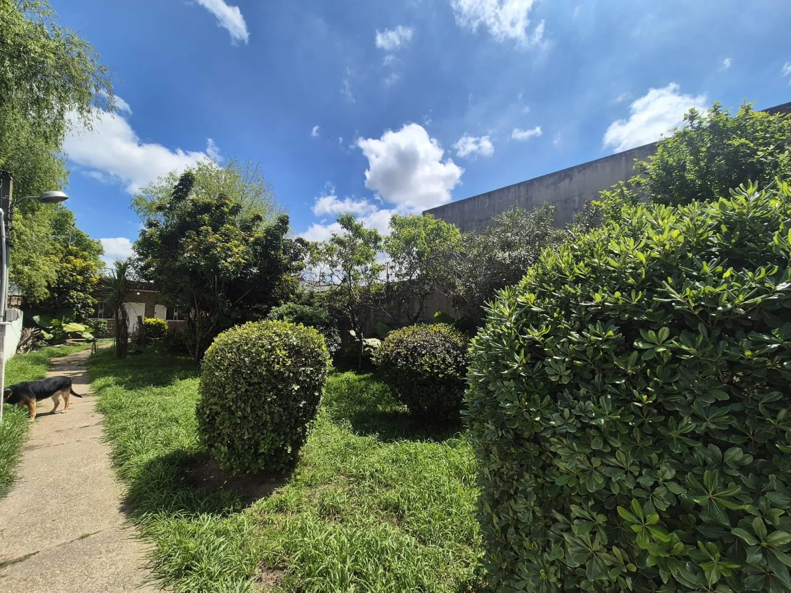 Venta Casa con cochera en Punta Rieles - Imagen 4