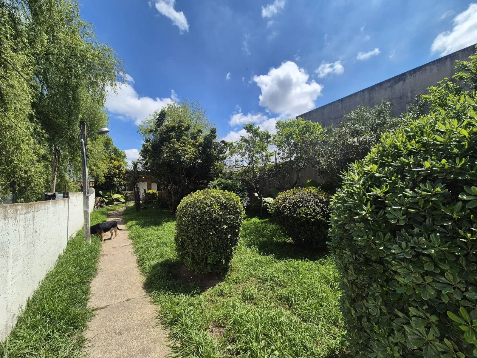 Venta Casa con cochera en Punta Rieles - Imagen 3