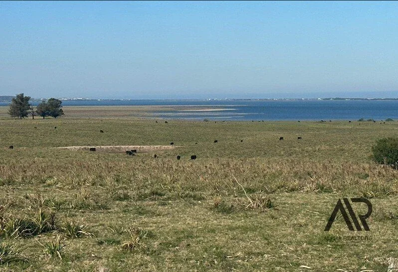 Chacra de 26 ha Laguna de José Ignacio, Maldonado/uruguay. - Imagen 1