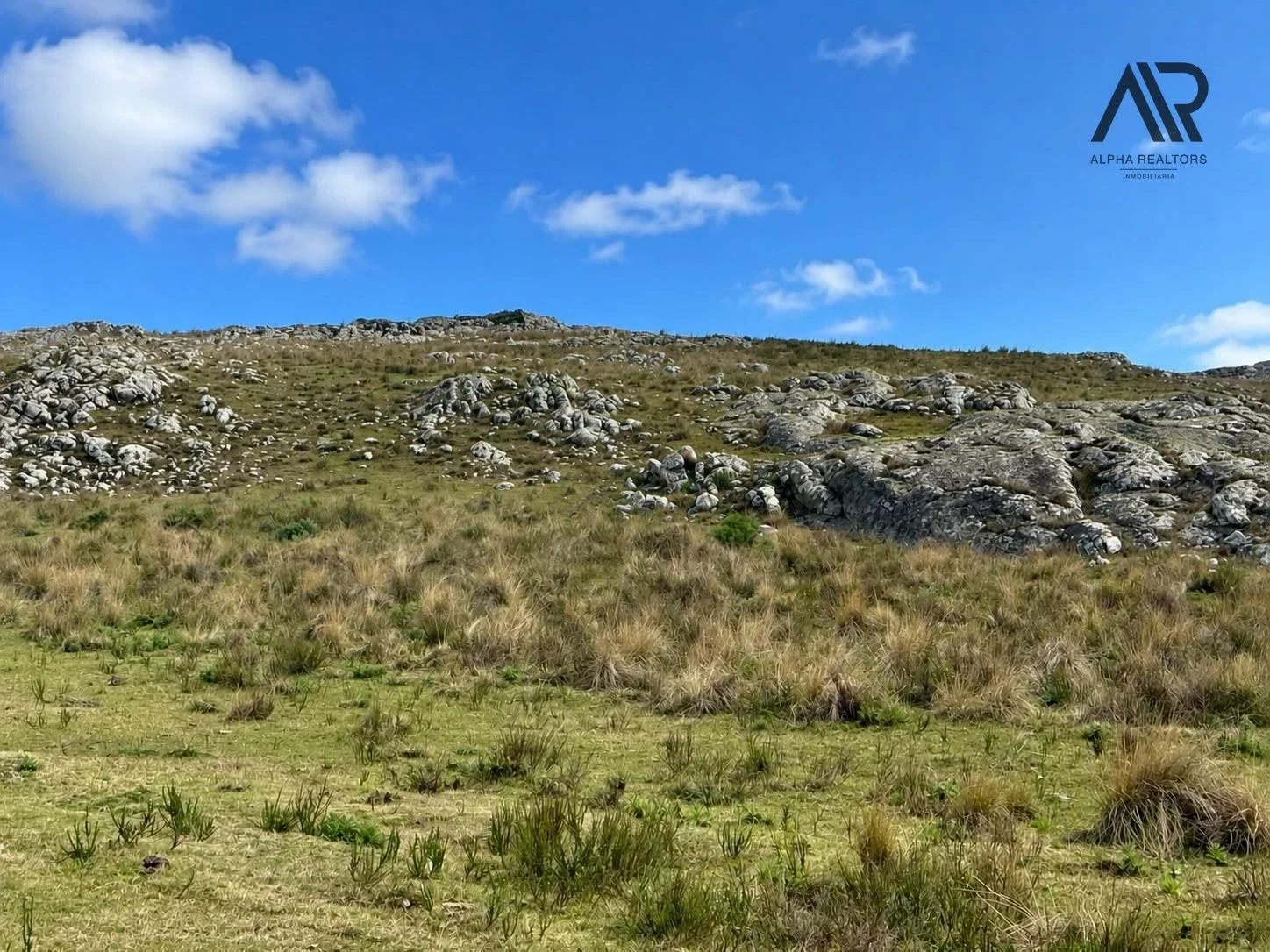 Campo en venta de 39m2 ubicado en Aiguá - Imagen 3