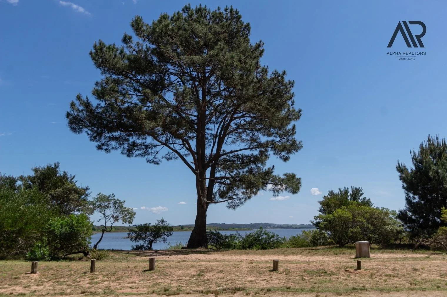 Terreno en venta de 1750m2 ubicado en Solanas - Imagen 3