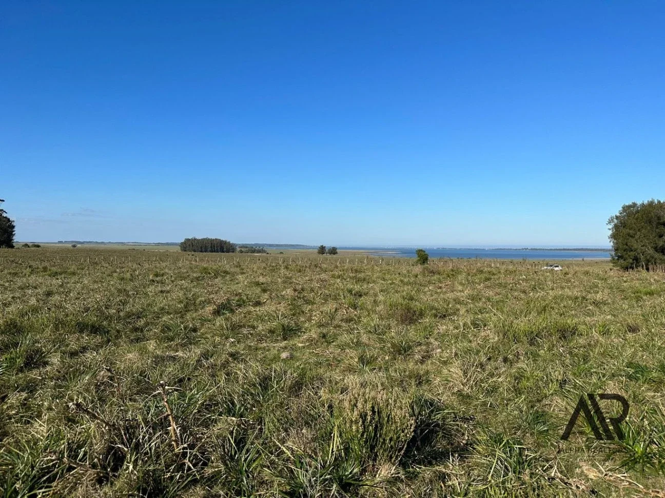 Chacra de 26 ha Laguna de José Ignacio, Maldonado/uruguay. - Imagen 2