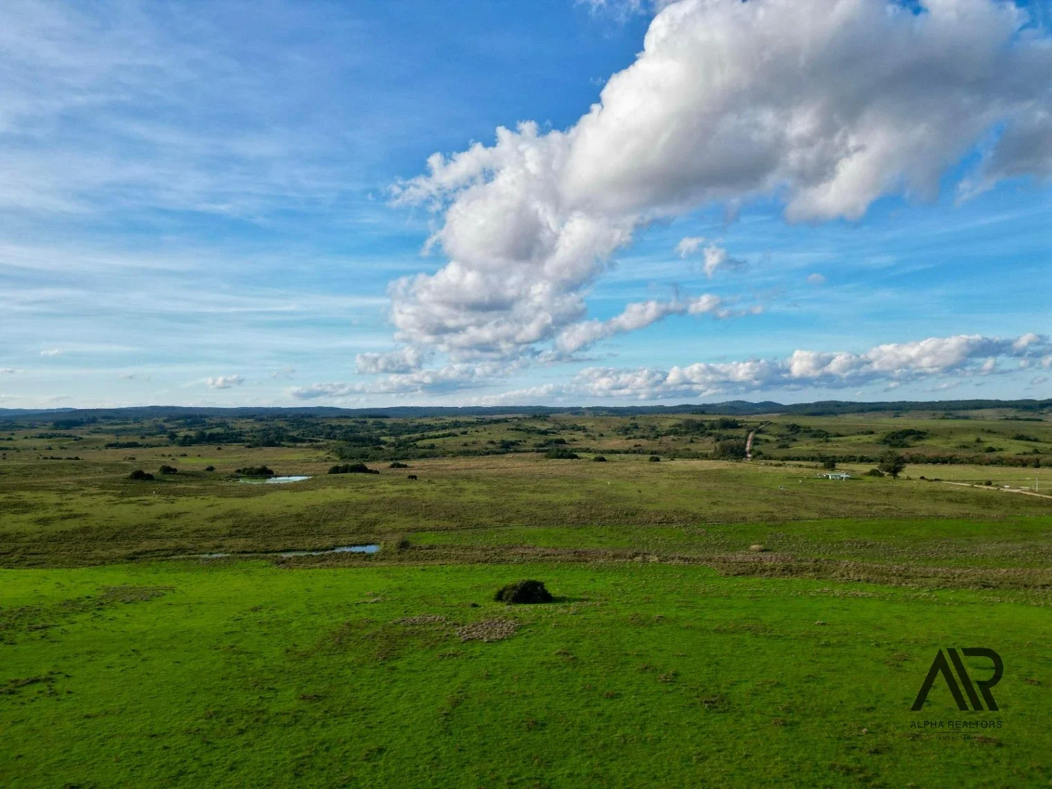 Chacras de 3ha/60 ha en Garzón, con caminería y luz en la portera. - Imagen 2