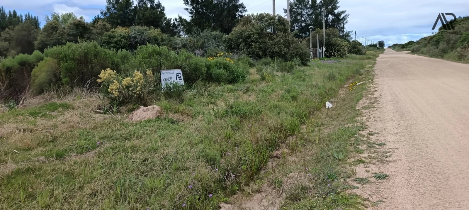 Terreno en venta de 1000m2 ubicado en Barra De Portezuelo - Imagen 4