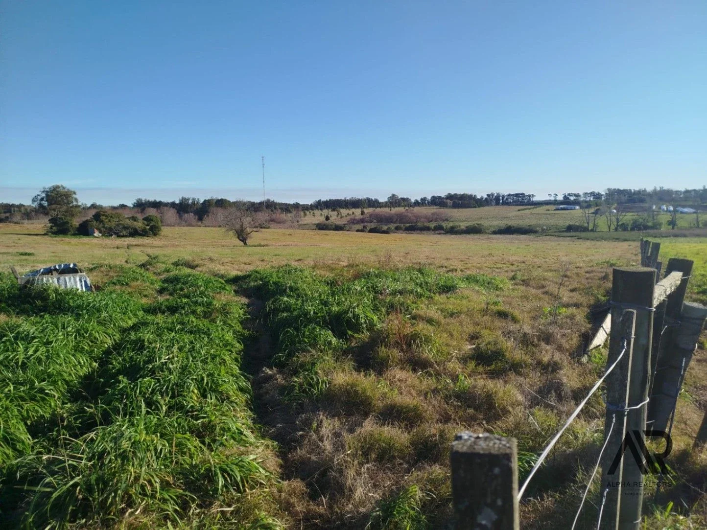 Chacra de 5 hectáreas, en Camino Medellín y Ruta 104-Manantiales, Maldonado/Punta del Este/Uruguay. - Imagen 4