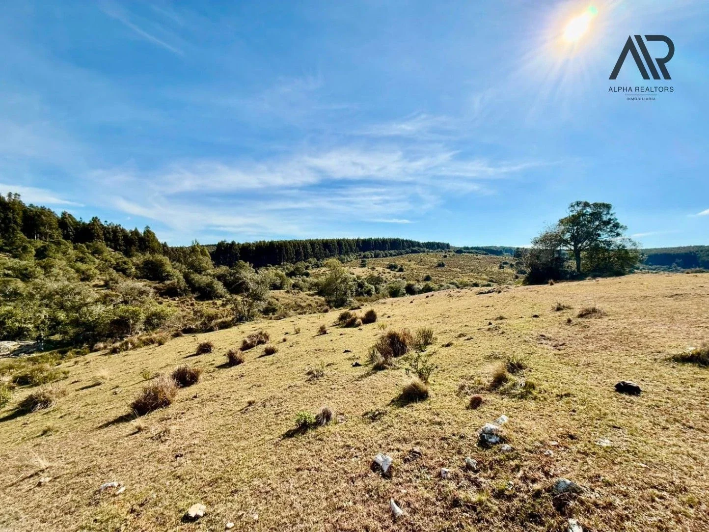 Campo en venta de 77ha ubicado en Valdivia - Imagen 2