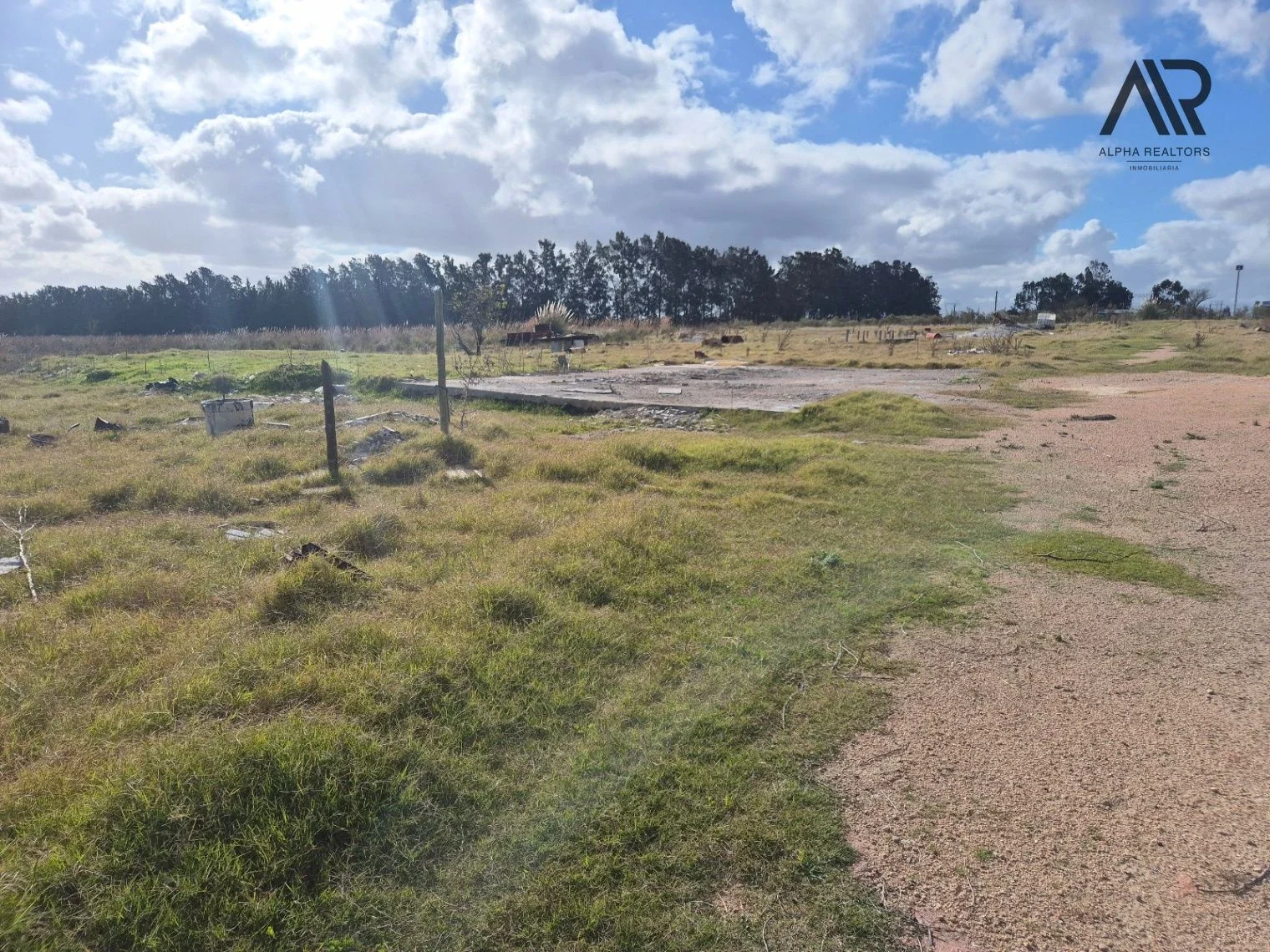 Chacra en venta de 35522m2 ubicado en Cuchilla Pereira - Imagen 5