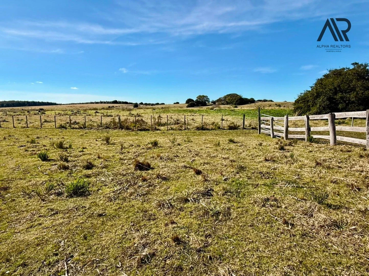Campo en venta de 77ha ubicado en Valdivia - Imagen 5