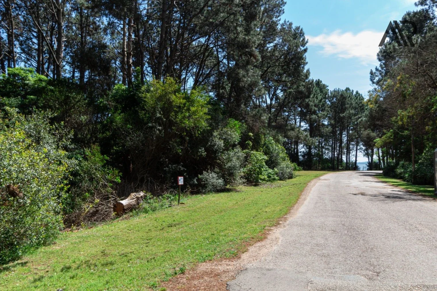 Terreno en venta de 1750m2 ubicado en Solanas - Imagen 2