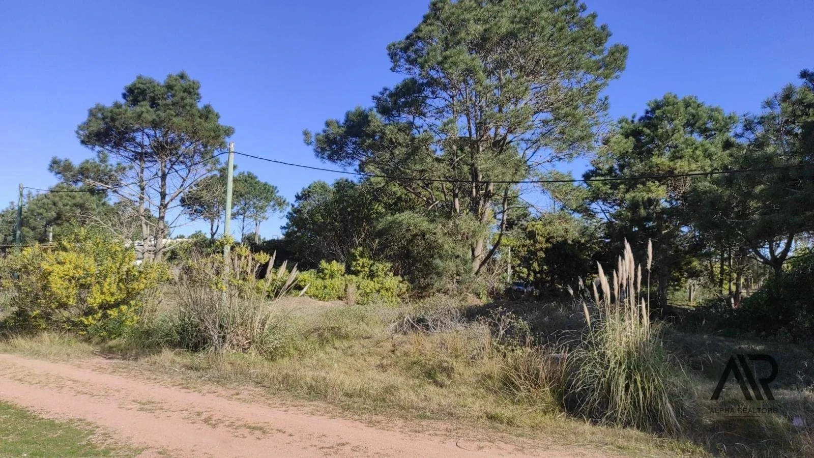 Terreno en venta de 592m2 ubicado en Punta del Diablo - Imagen 2