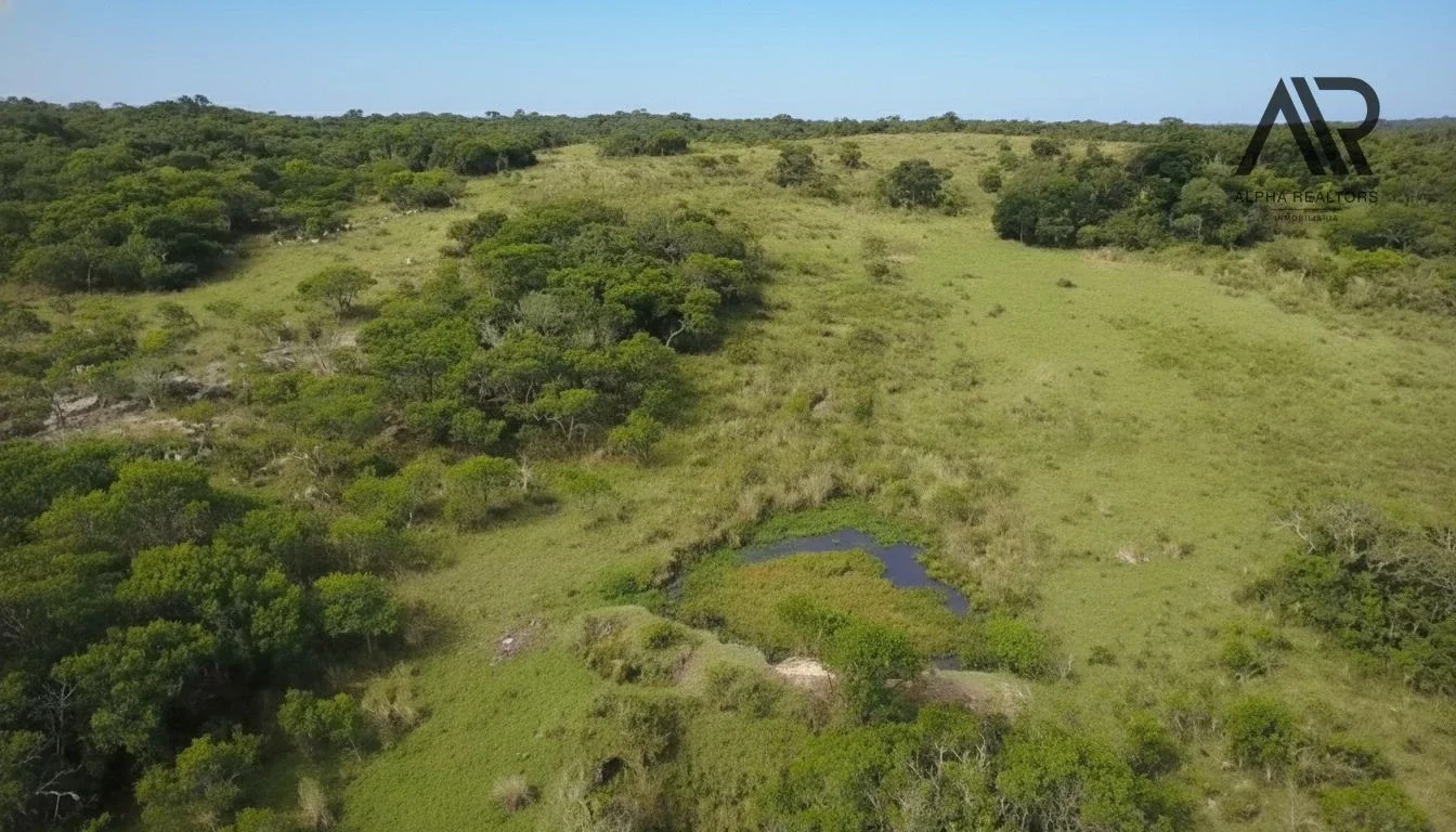 Lotes para chacras en venta en Maldonado - Imagen 1
