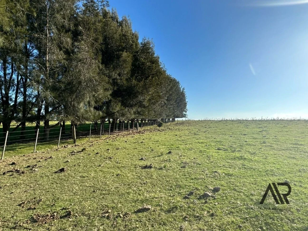 Chacra de 26 ha Laguna de José Ignacio, Maldonado/uruguay. - Imagen 3