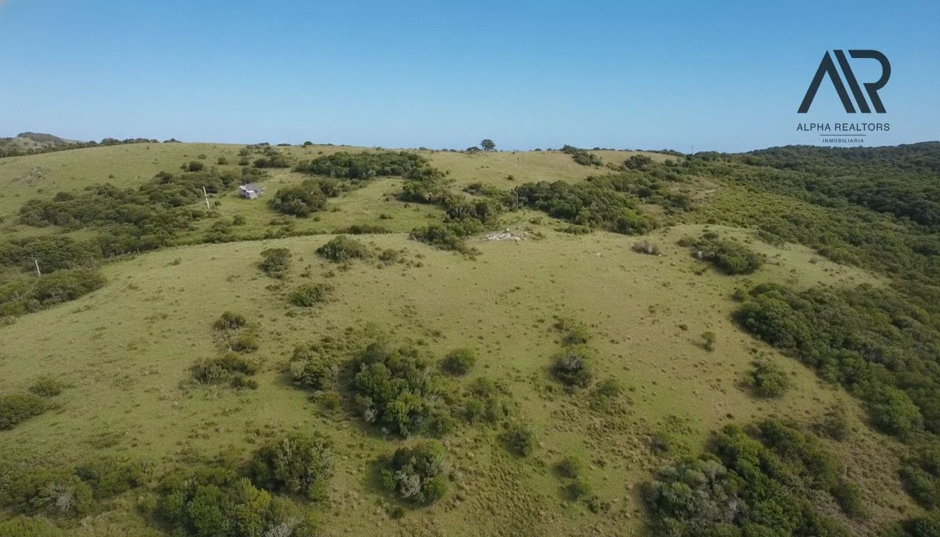 Lotes para chacras en venta en Maldonado - Imagen 4