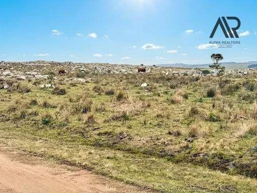 Campo en venta de 39m2 ubicado en Aiguá - Imagen 4