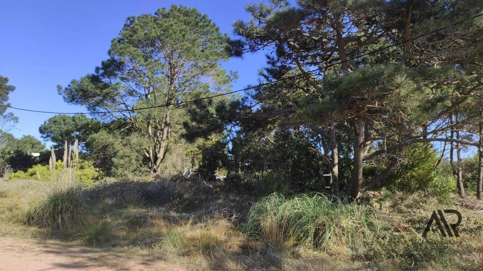 Terreno en venta de 592m2 ubicado en Punta del Diablo - Imagen 4