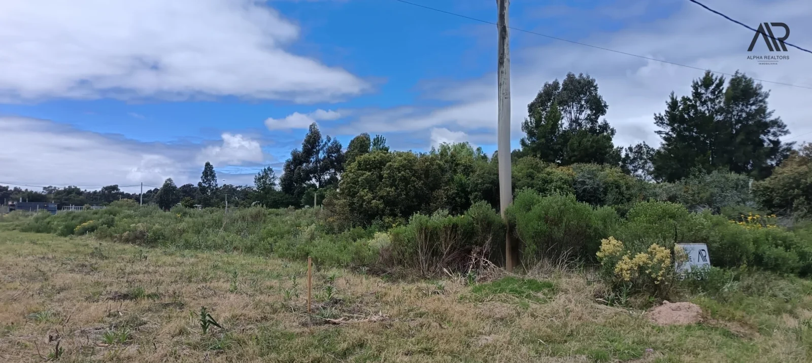 Terreno en venta de 1000m2 ubicado en Barra De Portezuelo - Imagen 5