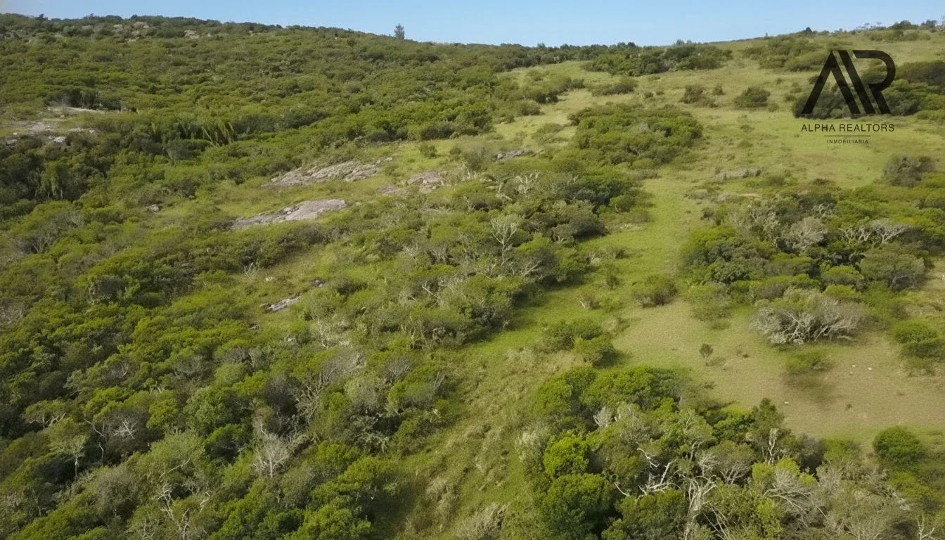 Lotes para chacras en venta en Maldonado - Imagen 3