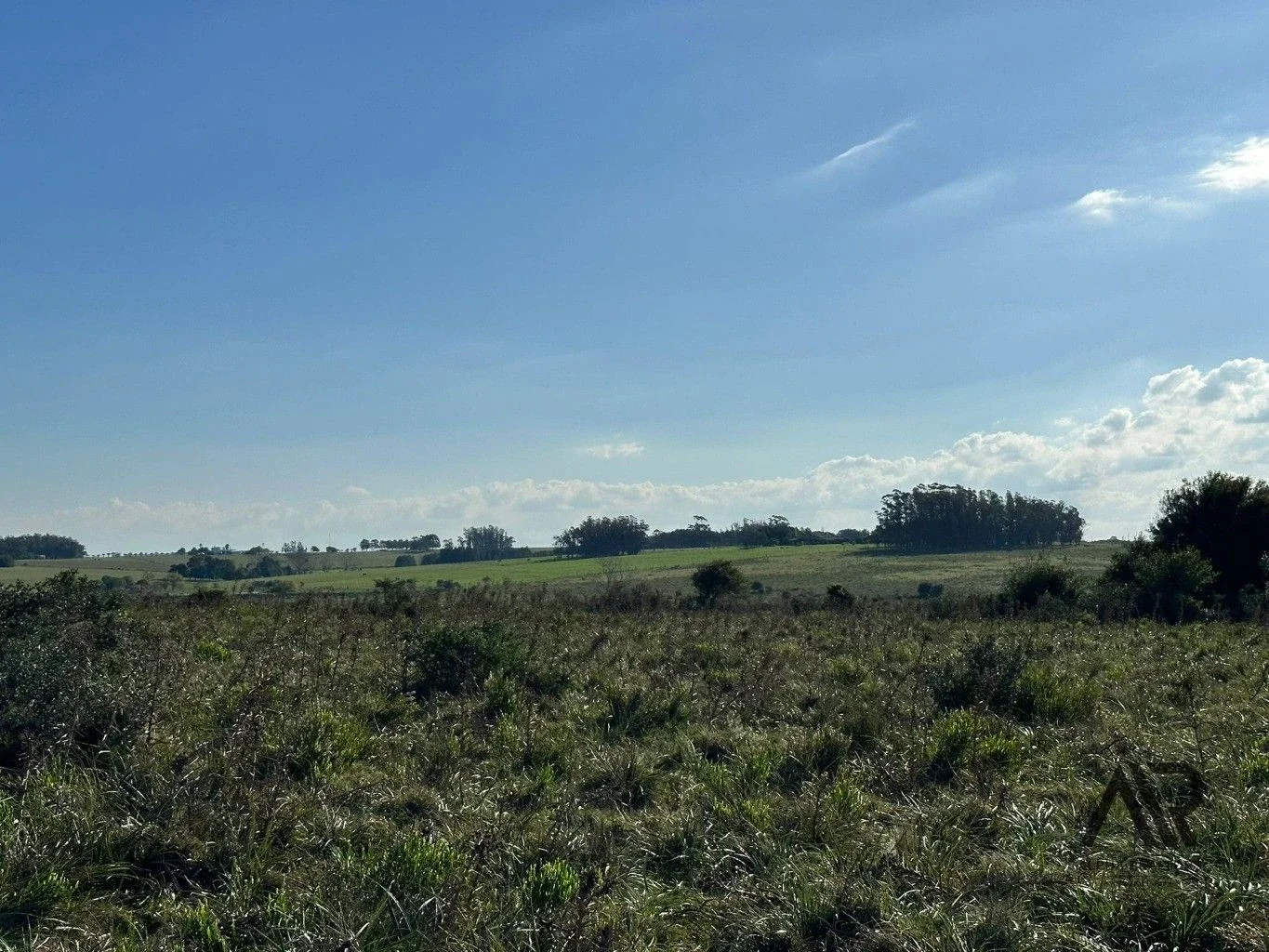 Chacra de 26 ha Laguna de José Ignacio, Maldonado/uruguay. - Imagen 5