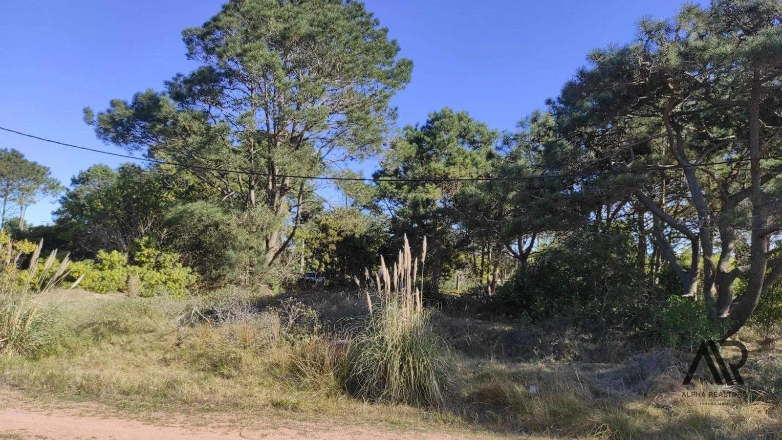 Terreno en venta de 592m2 ubicado en Punta del Diablo - Imagen 3