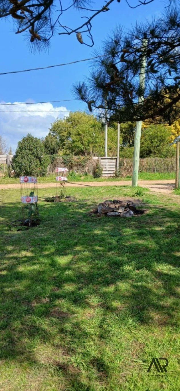 Terreno en venta de 1987m2 ubicado en Balneario Las Flores - Imagen 2