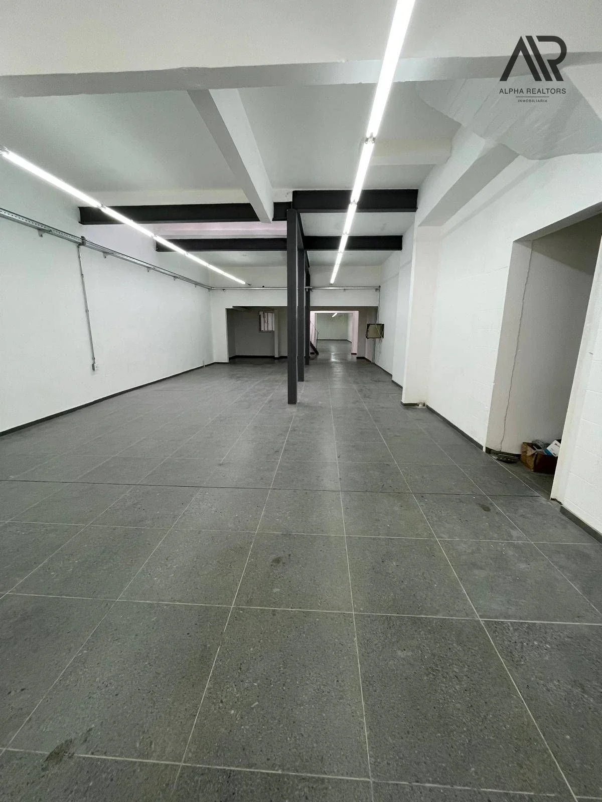 Local Comercial en alquiler ubicado en Punta Carretas - Imagen 2