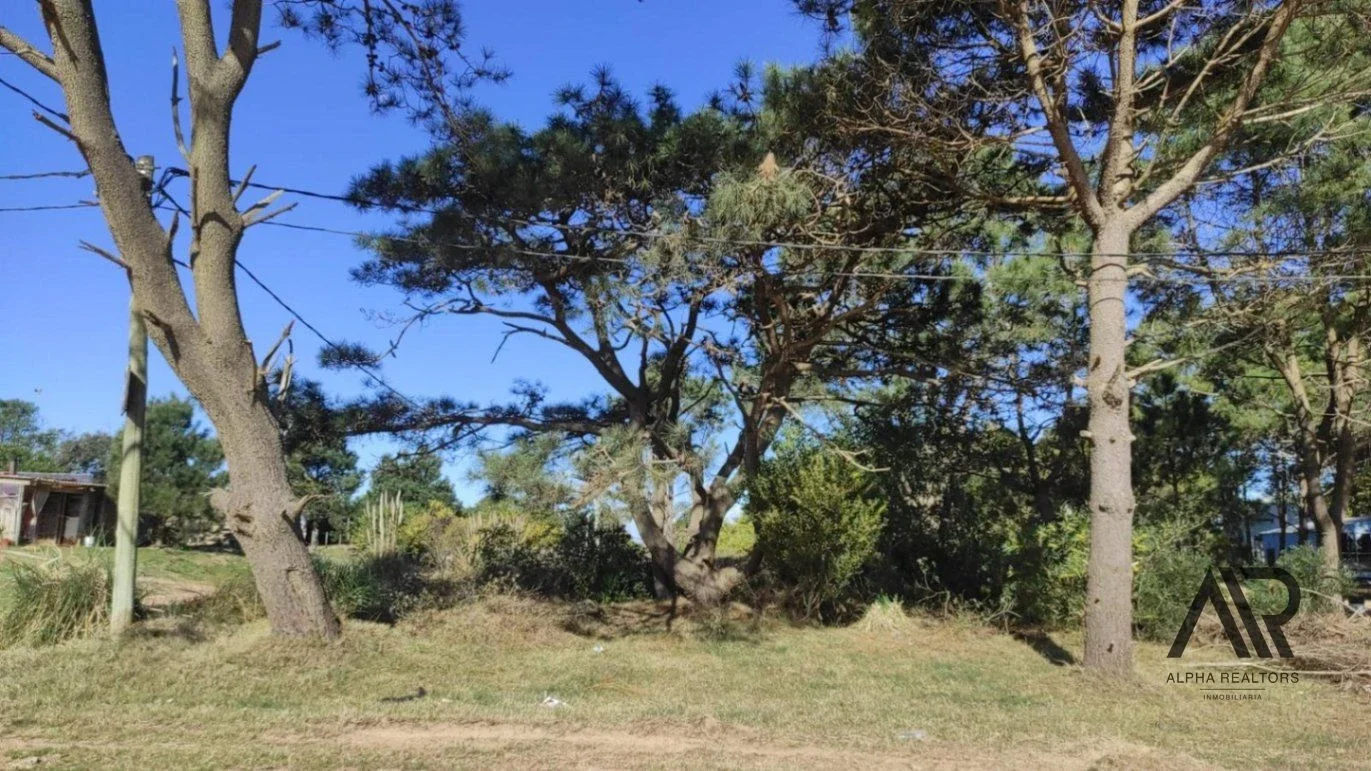 Terreno en venta de 592m2 ubicado en Punta del Diablo - Imagen 5