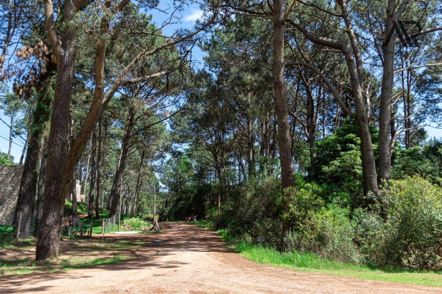 Terreno en venta de 1750m2 ubicado en Solanas - Imagen 1
