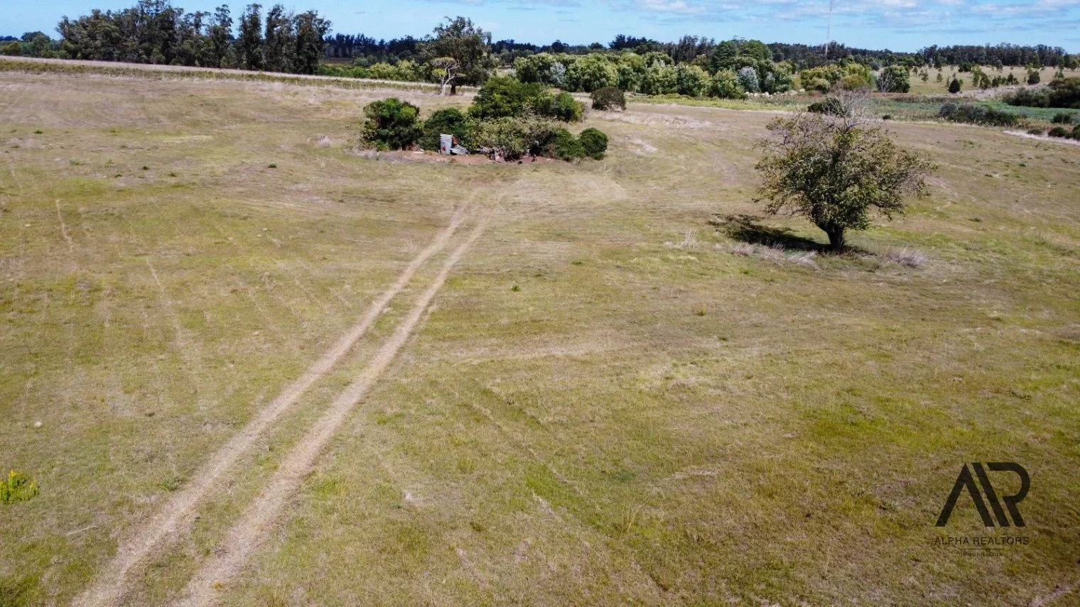 Chacra de 5 hectáreas, en Camino Medellín y Ruta 104-Manantiales, Maldonado/Punta del Este/Uruguay. - Imagen 5