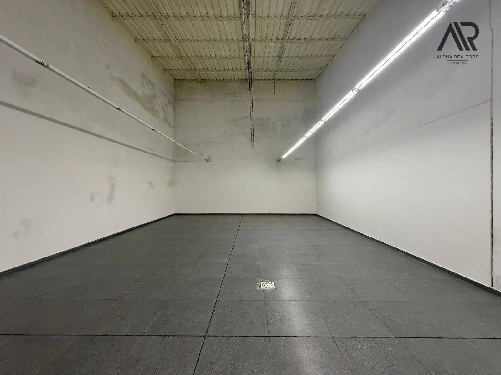 Local Comercial en alquiler ubicado en Punta Carretas - Imagen 5