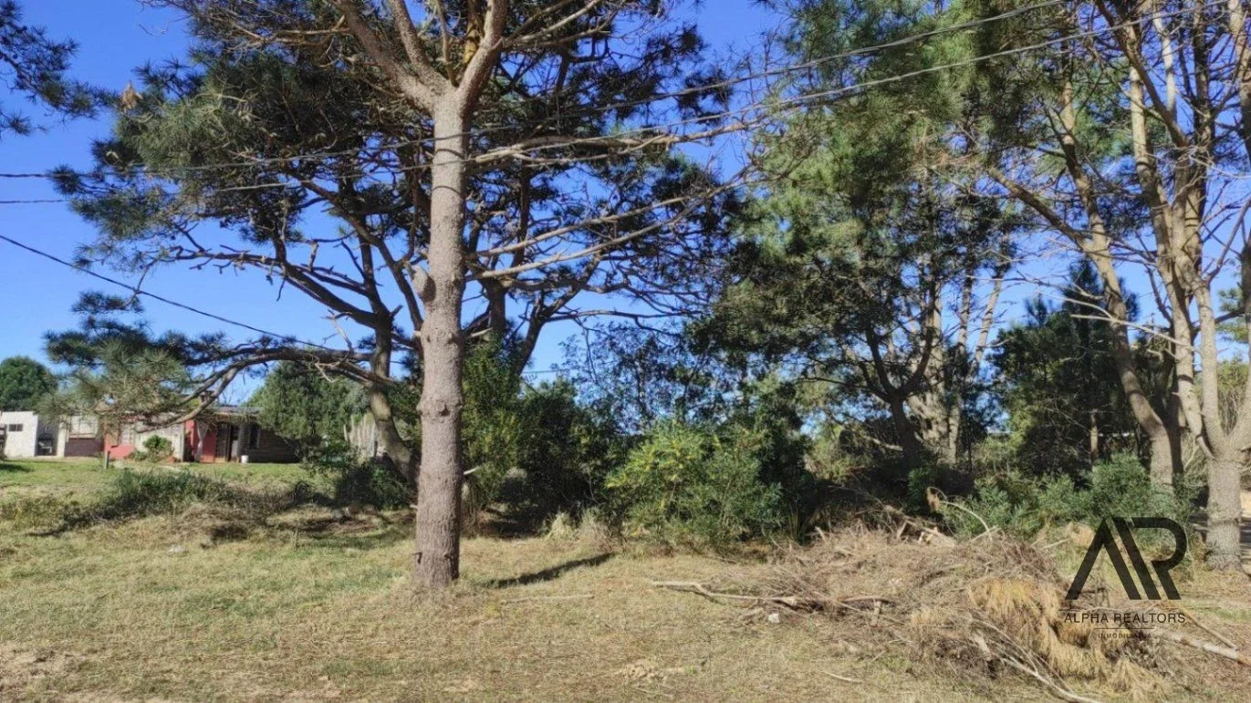 Terreno en venta de 592m2 ubicado en Punta del Diablo - Imagen 1