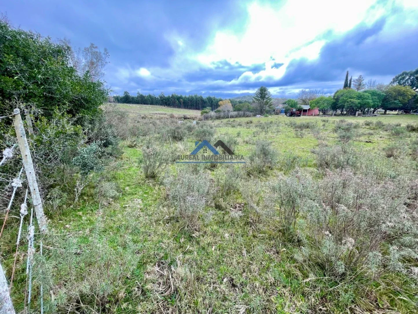 Chacra en venta de 12ha ubicado en Campanero - Imagen 5