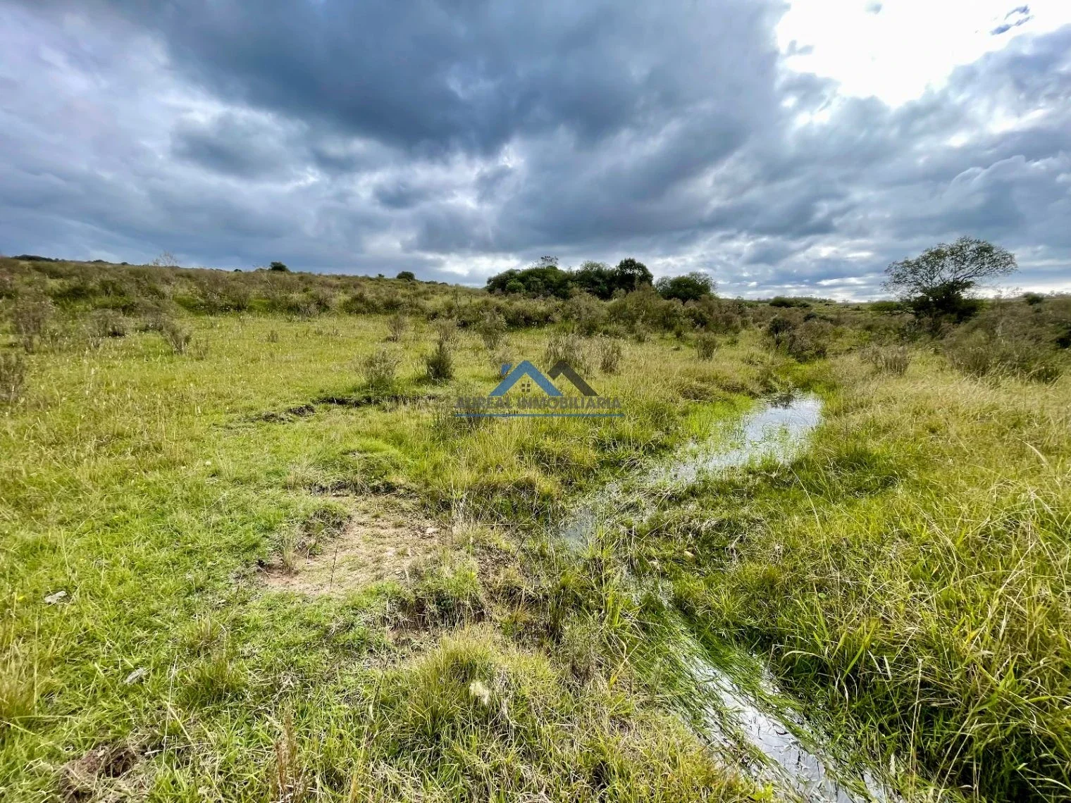 Campo en venta de 40ha ubicado en Pan de Azúcar - Imagen 5