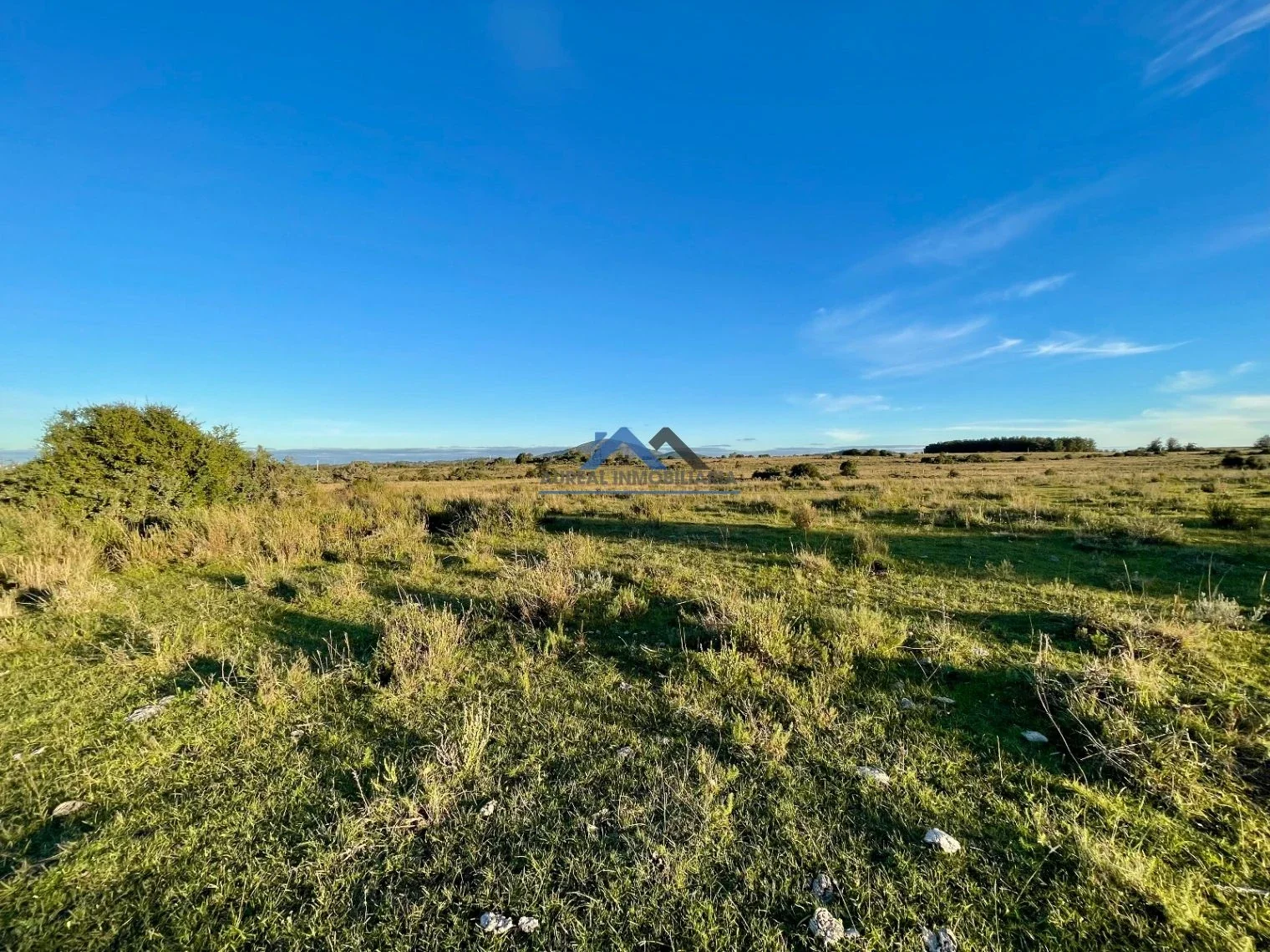 Chacra en venta de 5ha ubicado en Pan de Azúcar - Imagen 5