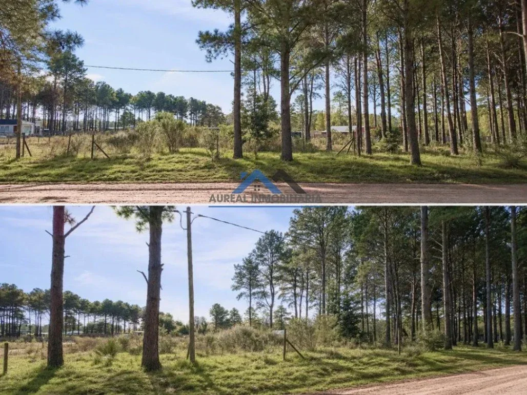 Venta Terreno de 1000m2 Lote en Chacras del Pinar - Maldonado - Imagen 1