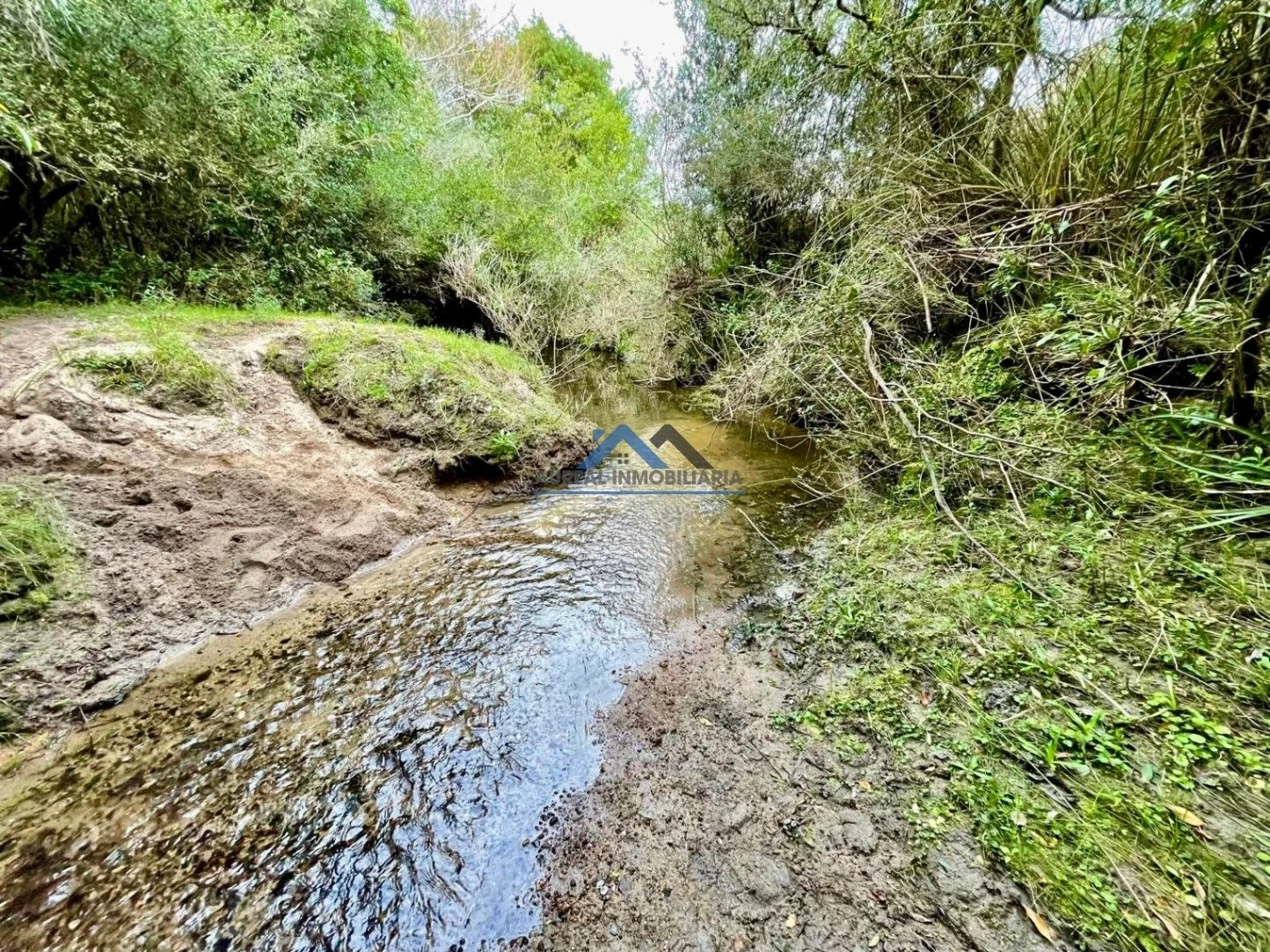 Venta Chacra con Casa 3 dormitorios con galpón y arroyo en Maldonado - Imagen 3