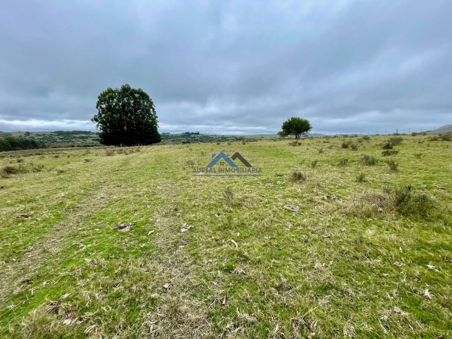 Chacra en venta de 12ha ubicado en Campanero - Imagen 1