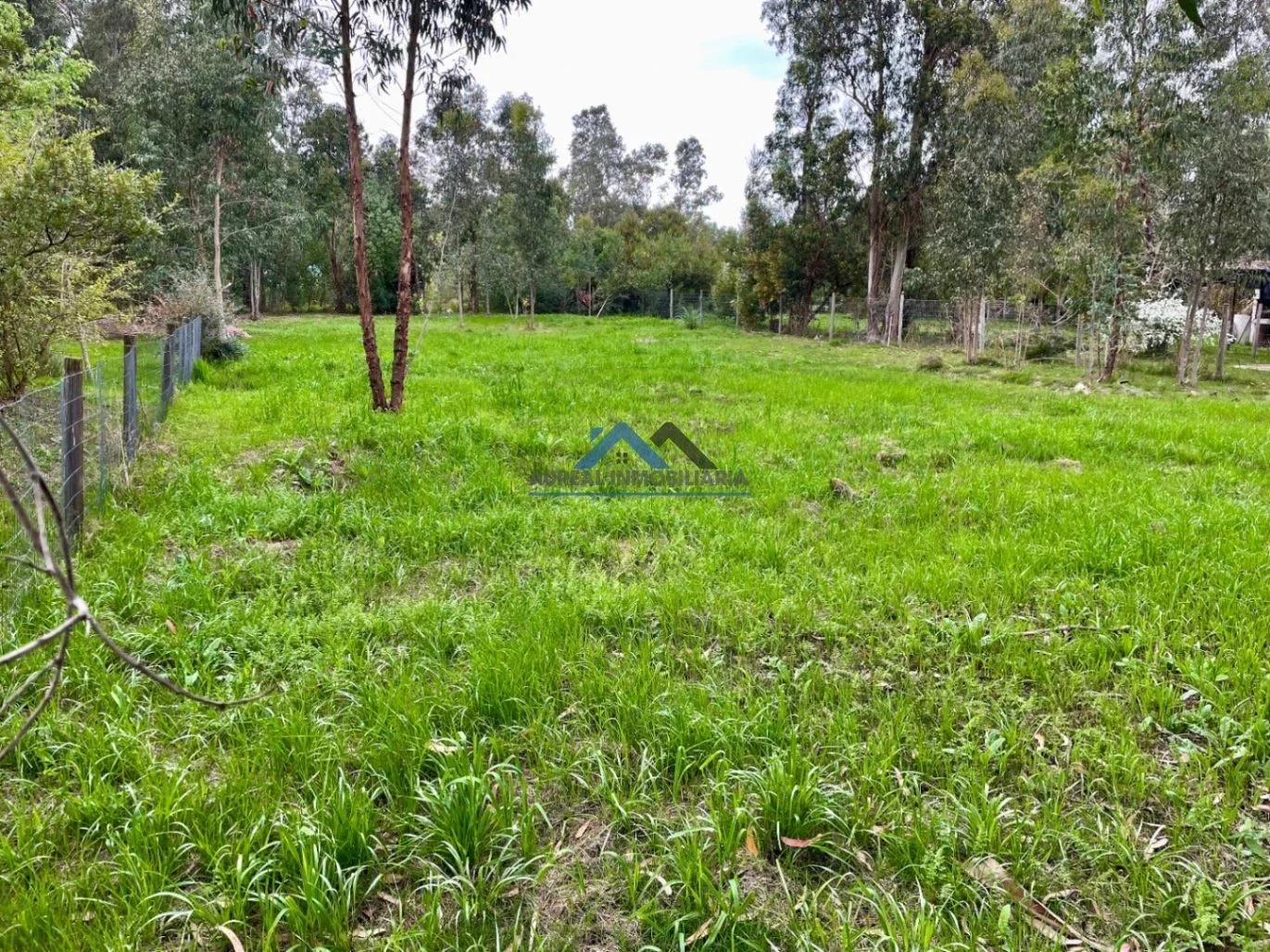 Terreno en venta de 1150m2 ubicado en Bella Vista - Imagen 2