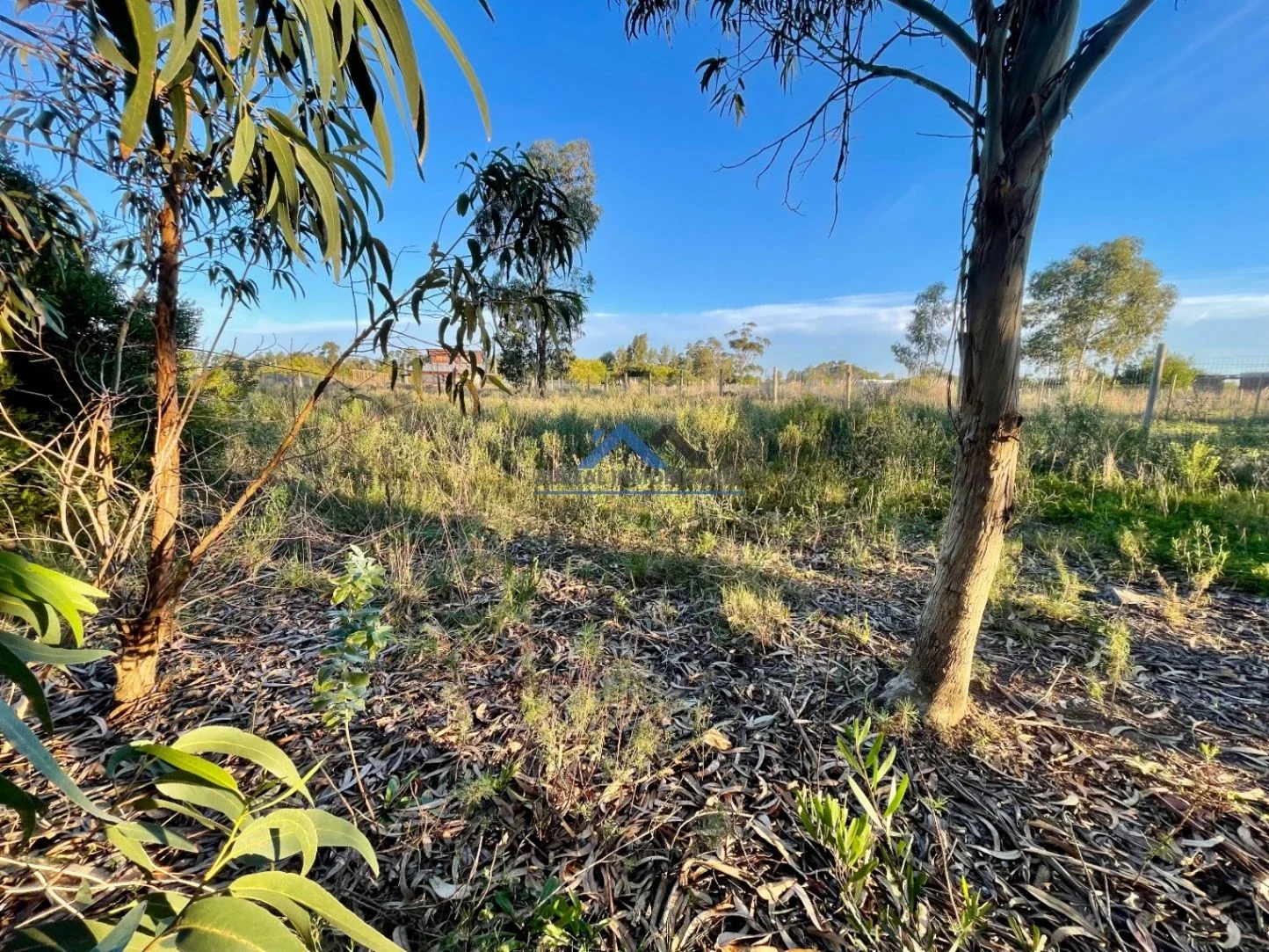 Terreno en venta de 1029m2 ubicado en Barra De Portezuelo - Imagen 4