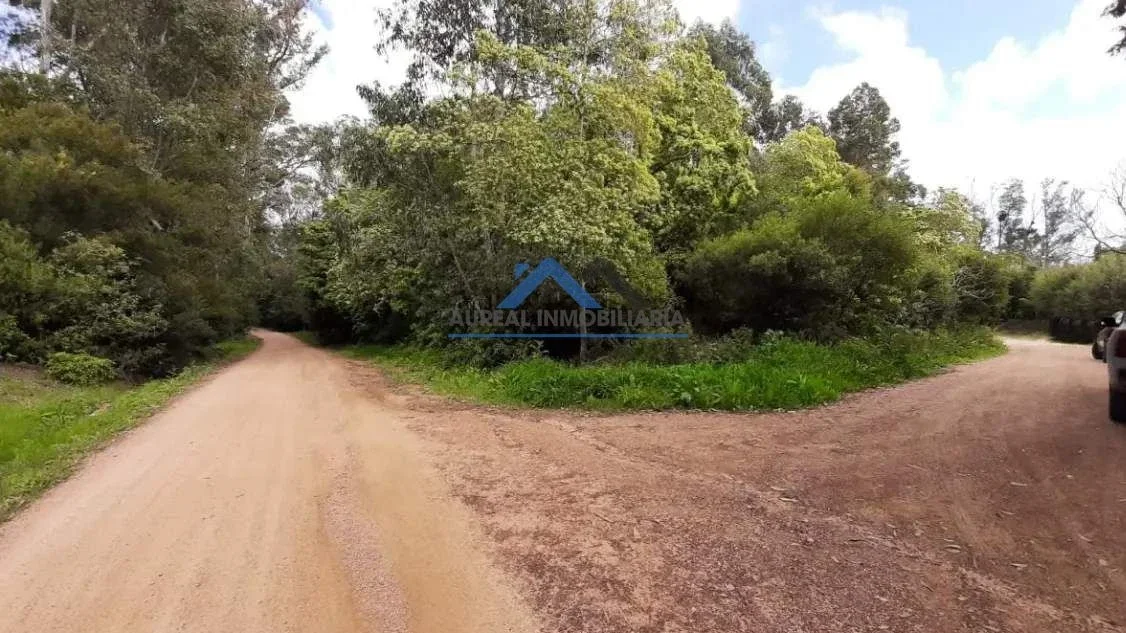 Venta Terreno de 730m2 en Punta Ballena a metros de Laguna del Sauce - Maldonado - Imagen 1