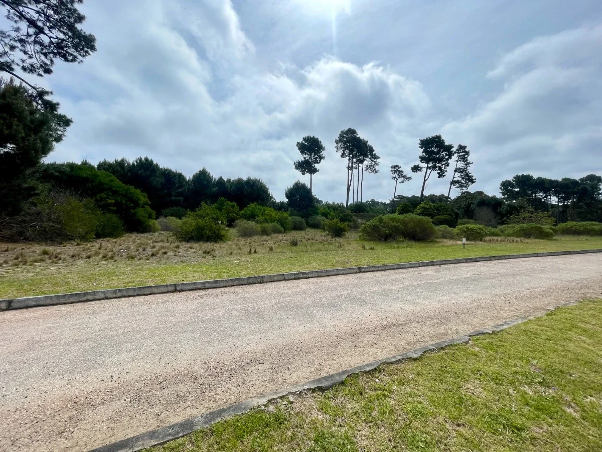 Venta Lote en Acres de Solanas Punta Ballena - Maldonado - Imagen 5
