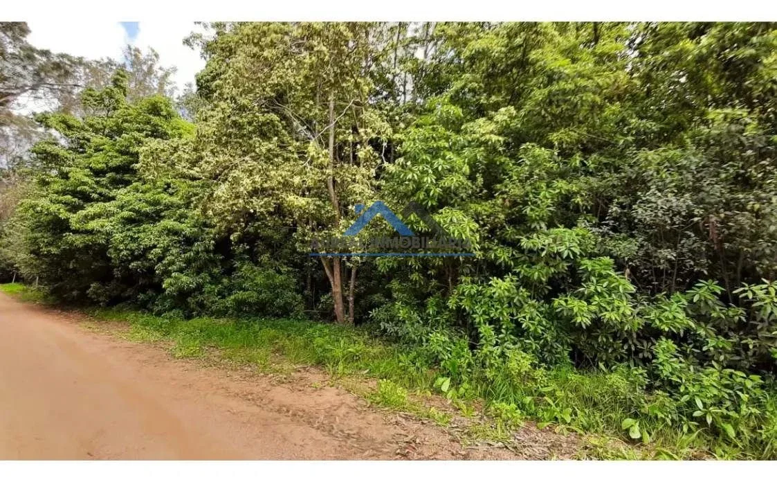 Venta Terreno de 730m2 en Punta Ballena a metros de Laguna del Sauce - Maldonado - Imagen 5
