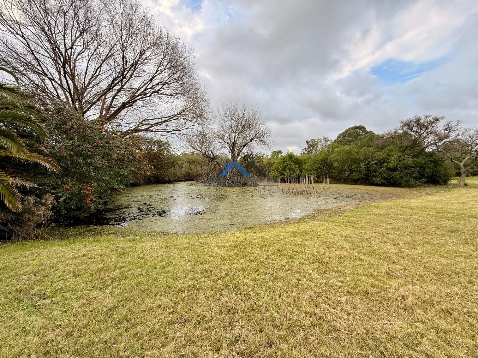 Venta Chacra con Casa 3 dormitorios con galpón y arroyo en Maldonado - Imagen 2