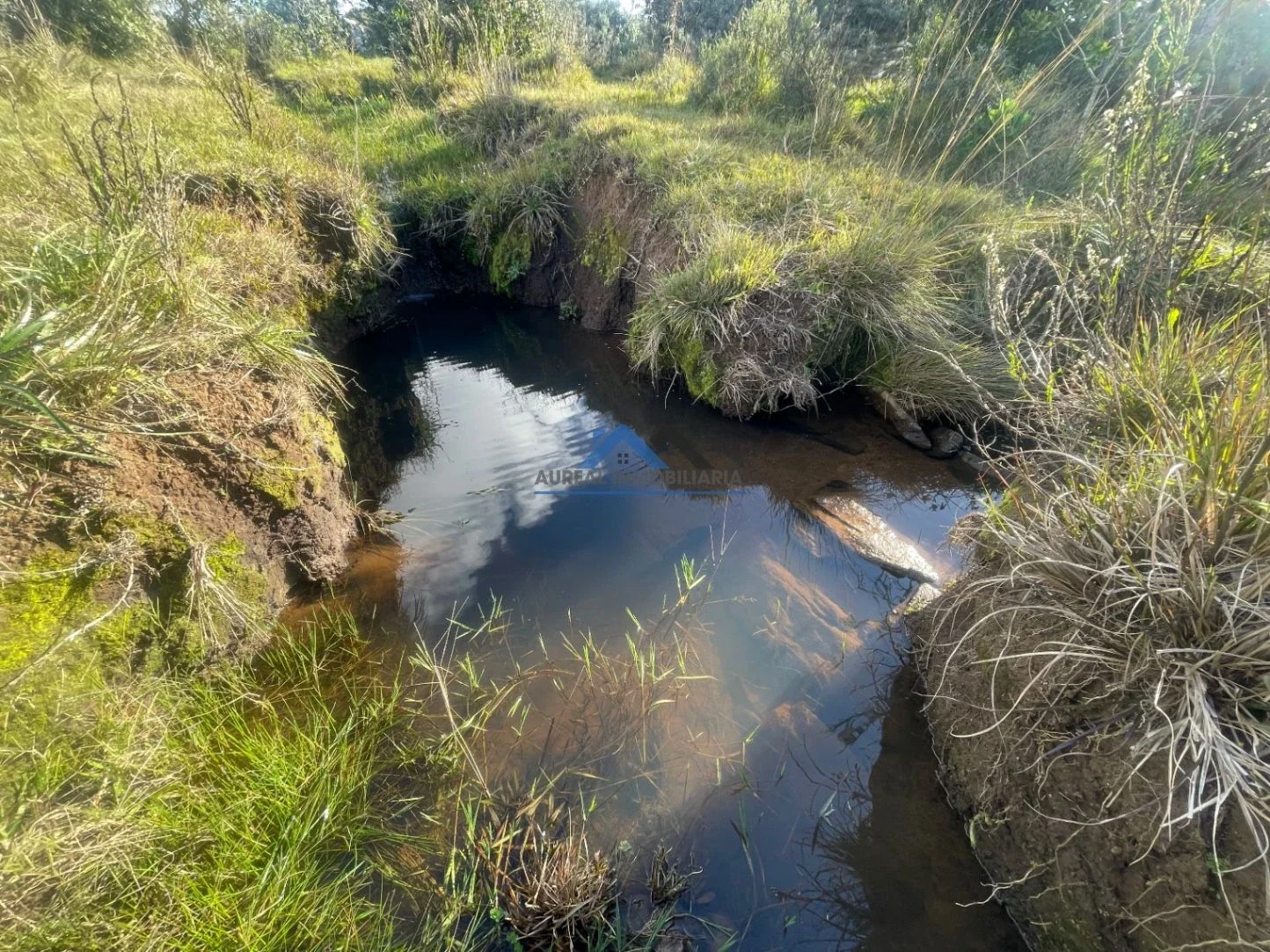 Chacra en venta de 5ha ubicado en Villa Serrana - Imagen 3