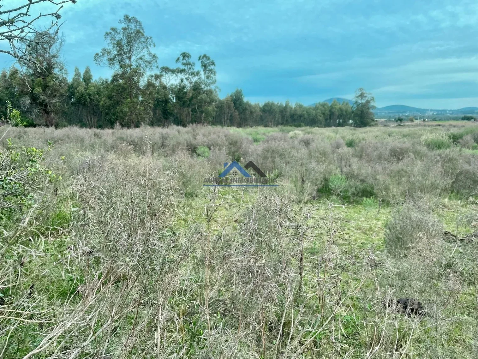 Chacra en venta de 5ha ubicado en Pan de Azúcar - Imagen 2