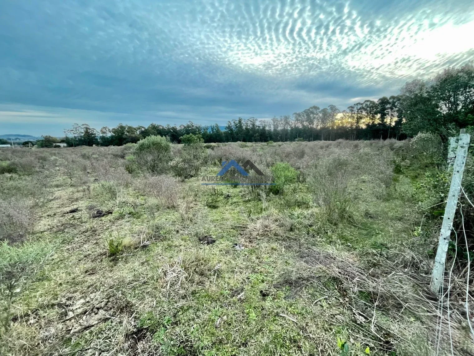 Chacra en venta de 5ha ubicado en Pan de Azúcar - Imagen 3