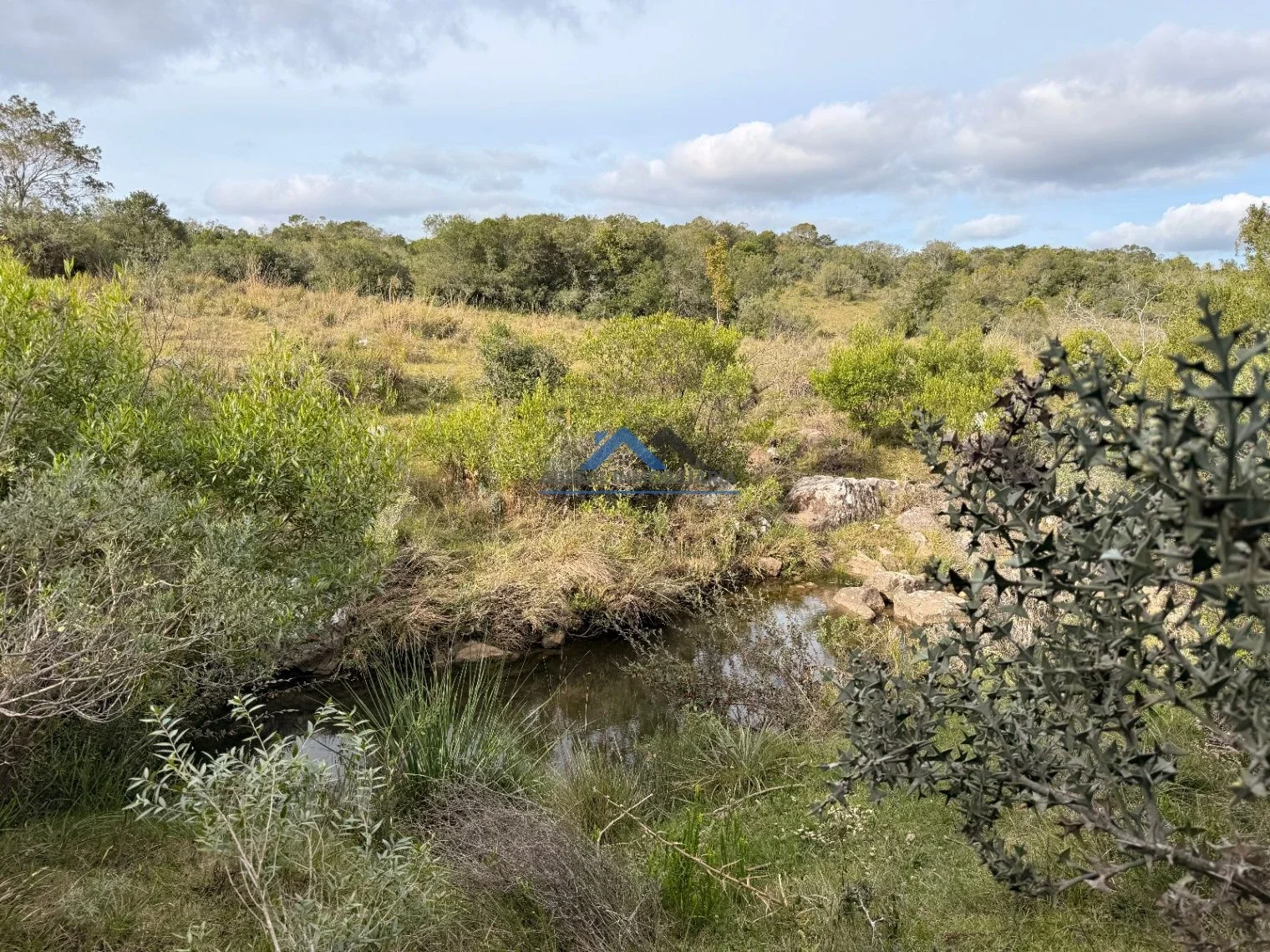 Venta Chacra 19 hectáreas con casa - cañada y arroyo en Pueblo Edén - Maldonado - Imagen 1