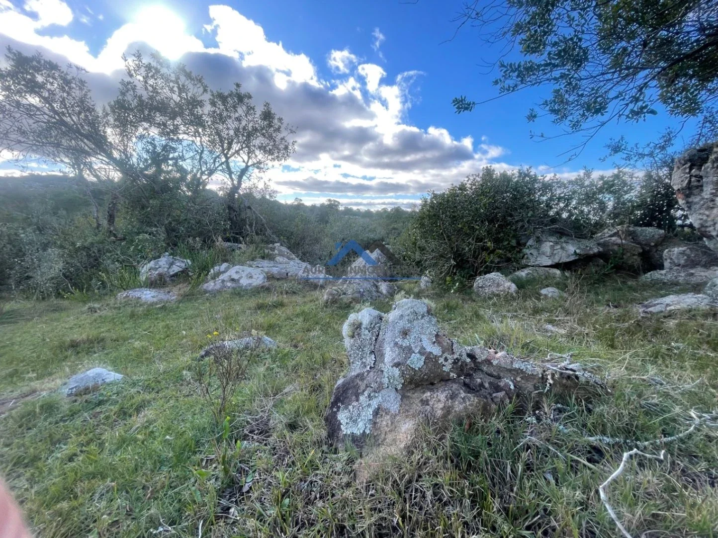 Chacra en venta de 5ha ubicado en Villa Serrana - Imagen 5